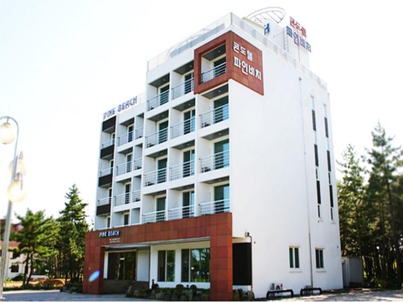 Pine Beach Yangyang Exteriör bild