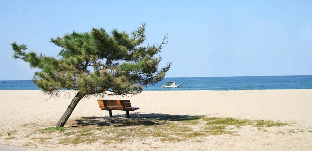 Pine Beach Yangyang Exteriör bild