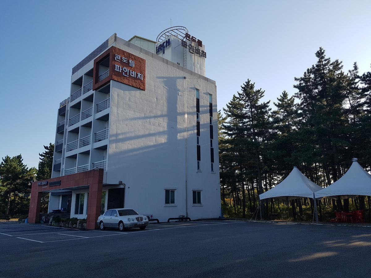 Pine Beach Yangyang Exteriör bild