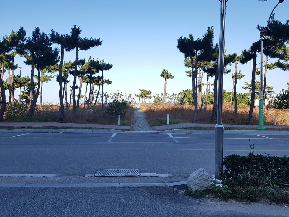 Pine Beach Yangyang Exteriör bild